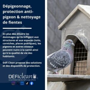 image Dépigeonnage, protection anti-pigeon & nettoyage de fientes france defi clean