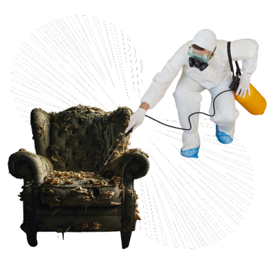 image insalubre desinfection - Débarras et désinfection après insalubrité - defi clean - diogene france