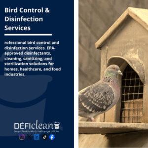 Effective cleaning and disinfection are vital for sustaining a healthy environment. Birds have the potential to transmit bacteria, viruses, and various germs via contaminated surfaces. Therefore, it is important to utilize appropriate disinfectants, sanitizers, and EPA-approved products.