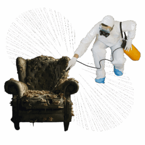 decluttering and disinfection after unsanitary home diogene france