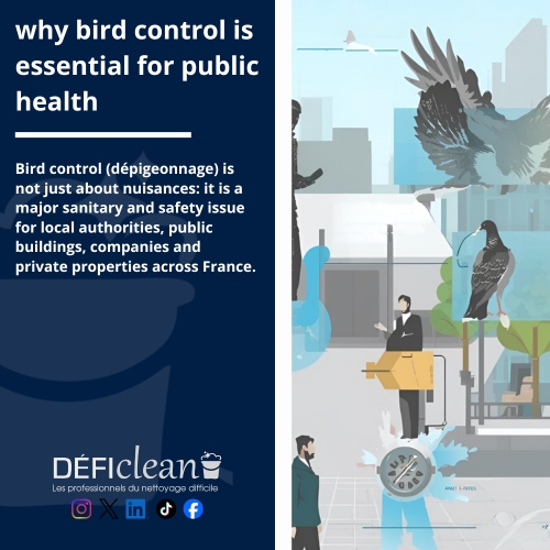 why-bird-control-is-important